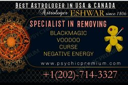 Best Astrologer in newyork | Best Psychic in newyork usa Master Eshwar ji. in New York City