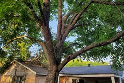 Southwest Tree Service in Fort Worth