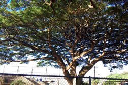 Puunui Community Park in Honolulu