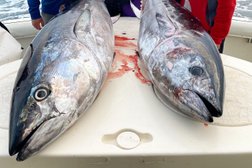 San Diego Tuna Fishing Photo