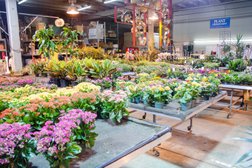 Koehler and Dramm Wholesale Florist Photo