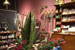 Clary Sage Herbarium in Portland