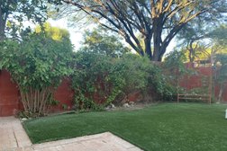 Branching Out Tree Service in Tucson