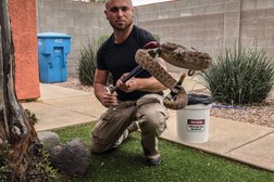 Arizona Snake Removal Photo
