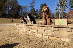 Canine Scholars Dog Training in Charlotte