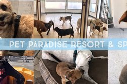 Pet Paradise Resort and Spa in San Jose