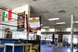 Hammer Boxing in Phoenix