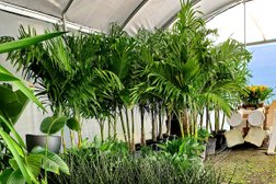 Aloha Interior Plants Photo