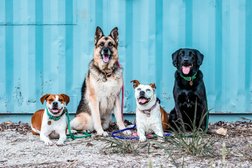 Good Dog Enrichment and Training Photo