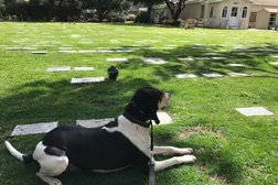 Sorrento Valley Pet Cemetery Photo