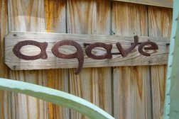 Agave Design in Austin