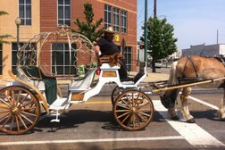 Uptown Carriage Co. - Carriage Rides Memphis Photo