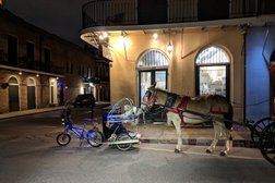 Radolo in New Orleans