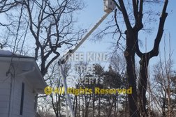 Tree King Tree Experts in St. Paul