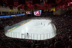 Magness Arena Photo