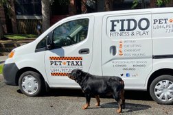 Fido Fitness and Play in Washington