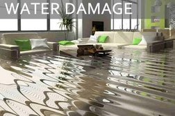 Public Adjuster Experts-- Fire /Water/ Mold Claim Help in Raleigh