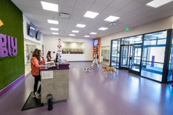 Wagly Veterinary Hospital and Pet Campus | Blossom Hill in San Jose