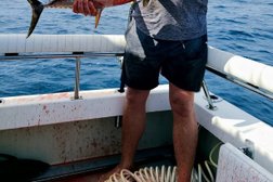 Pelican Sportfishing - San Diego Fishing Charter Photo