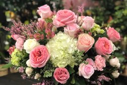 Capitol Hill Florist and Gifts - Oklahoma City Flower Delivery Photo
