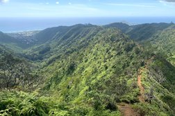 Honolulu Watershed Forest Reserve in Honolulu