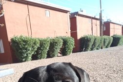 El Paso Animal Services Center in El Paso