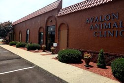 Avalon Animal Clinic in Indianapolis