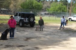 Tier Garden, Inc., Top Tier Dog Training Photo