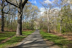 Dorchester Park in Boston