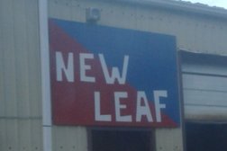 New leaf in Charlotte