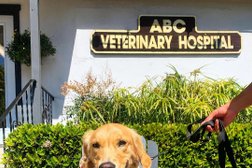ABC Veterinary Hospital San Diego Pacific Beach Photo