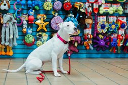 Doggie Style Pets Market in Philadelphia