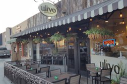 Ulivo Restaurant Photo