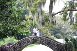 Romance In New Orleans Weddings Photo
