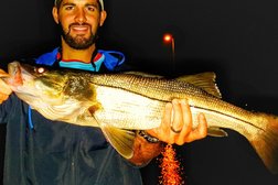 Tampa Flats Fishing Charters in Tampa