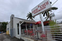 Habibi Kush in Miami