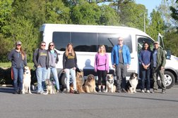 Happy Tails Canine Adventure Tours in Charlotte