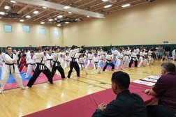 Korean American Mixed Martial Arts Orlando. Taekwondo Hapkido Kumdo Photo