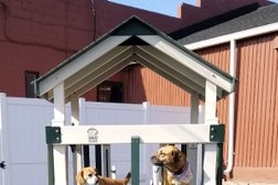 Good Doggie Day Care Inc in Baltimore