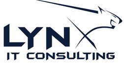 LYNX IT Consulting in Chicago