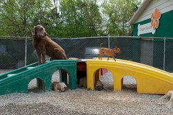 Kentucky Humane Society Fern Creek Pet Resort Photo