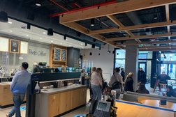 Capital One Caf in Tampa