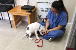 Richmond Hill Veterinary Care in New York City