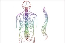 Momentum Chiropractic Clinic - Spine Pain Relief - Dr. Khanin Photo