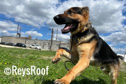 Reys Roof LLC Photo
