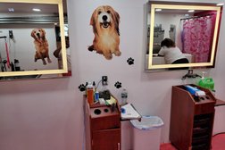Le Pink Pooch Dog And Cat Grooming Salon LLC in Philadelphia