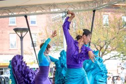 Zorongo Flamenco Dance Theatre and School in Minneapolis