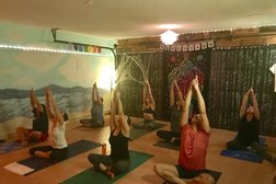 Aloha Yoga and Wellness Photo