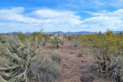 Phoenix Sonoran Preserve in Phoenix