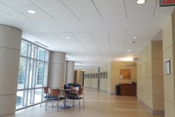 UCF College of Medicine Photo